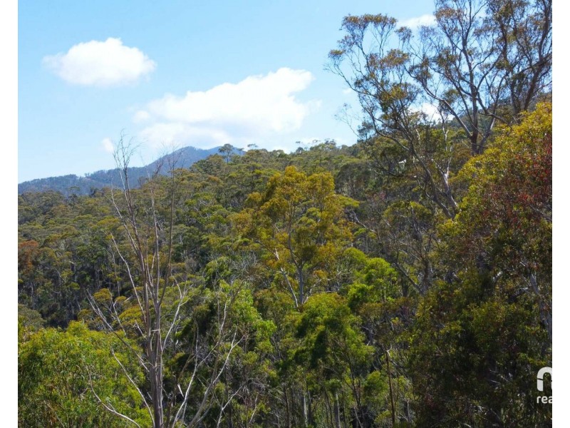 34 Shelley Street, Collinsvale TAS 7012