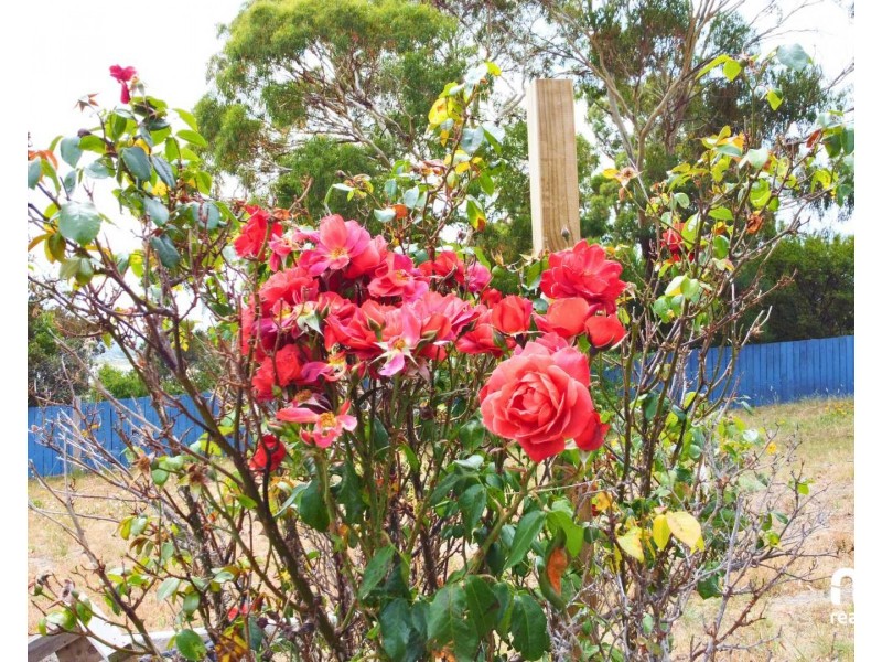 11 Erica Road, Primrose Sands TAS 7173