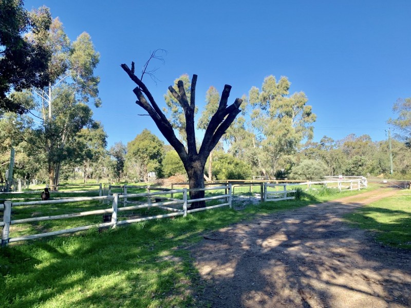 4 Rendezvous Road, Vasse WA 6280