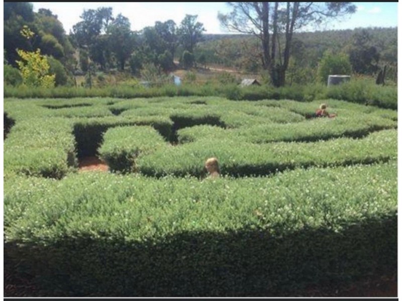 76 Fernhill Road, Dingup WA 6258