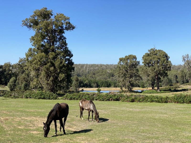 76 Fernhill Road, Dingup WA 6258