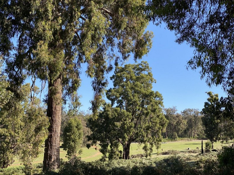 76 Fernhill Road, Dingup WA 6258