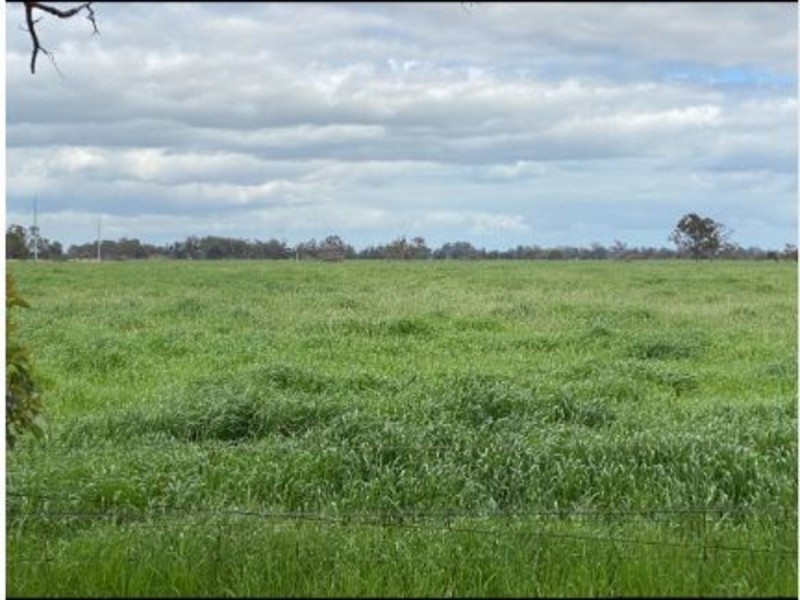 48 Tompsett Road, Tutunup WA 6280