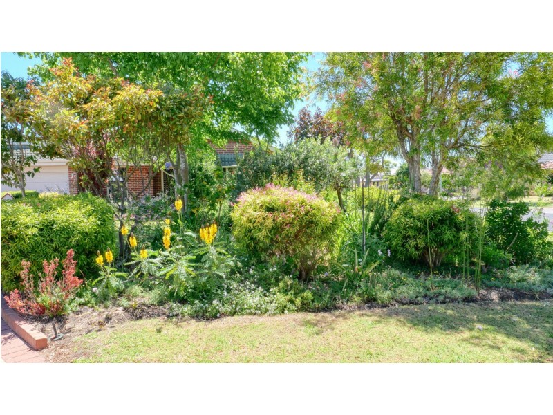 7 Shelduck Court, Broadwater WA 6280