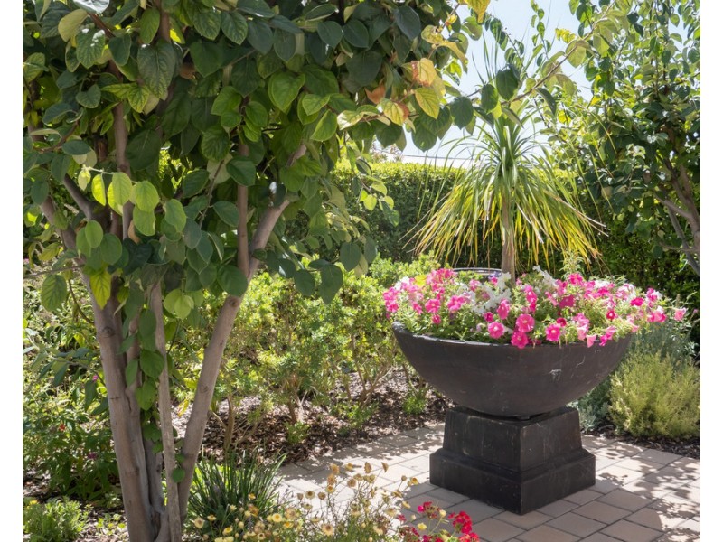 12 Bourke Way, Broadwater WA 6280