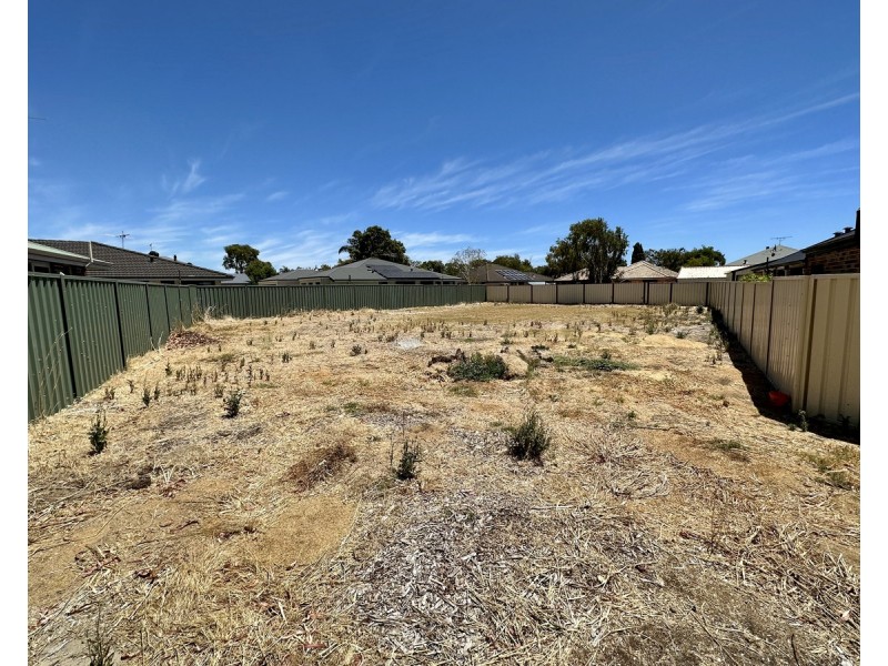 3 Bosworth Bend, West Busselton WA 6280