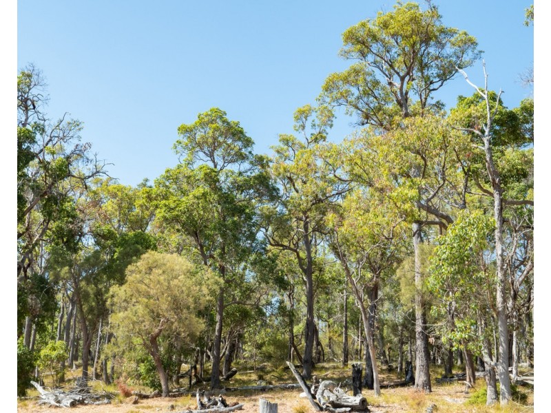 Lot 3001 Hopkins Road, Chapman Hill WA 6280