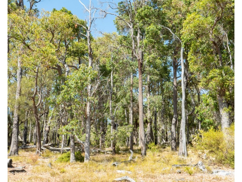 Lot 3001 Hopkins Road, Chapman Hill WA 6280