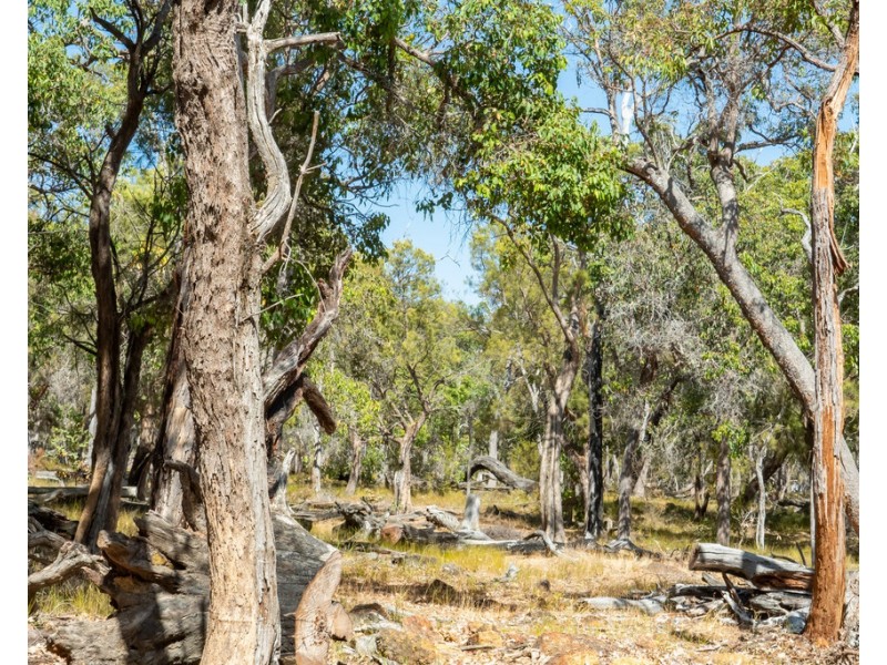 Lot 3001 Hopkins Road, Chapman Hill WA 6280