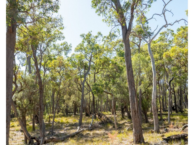 Lot 3001 Hopkins Road, Chapman Hill WA 6280