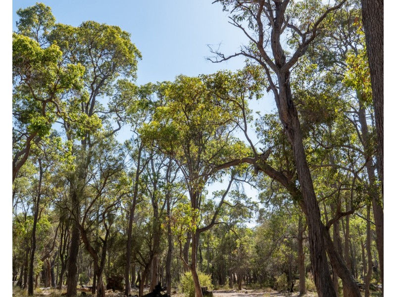 Lot 3001 Hopkins Road, Chapman Hill WA 6280