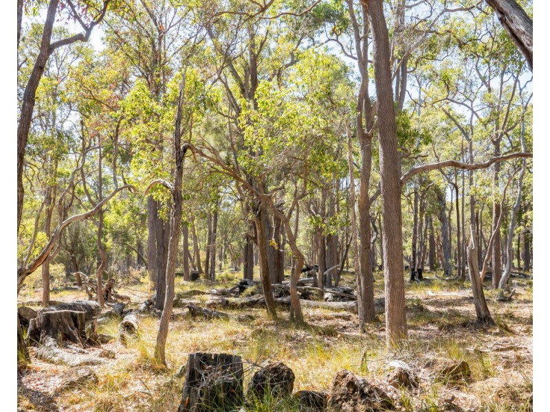 Lot 3001 Hopkins Road, Chapman Hill WA 6280