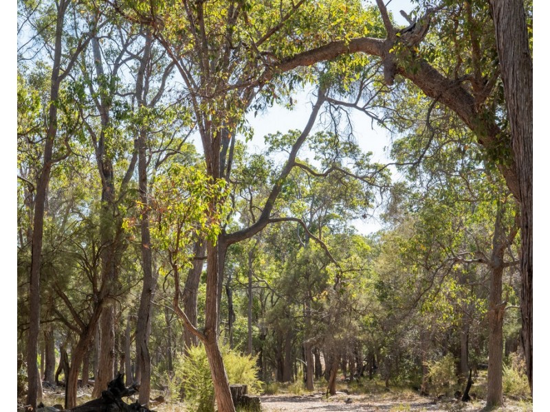 Lot 3001 Hopkins Road, Chapman Hill WA 6280