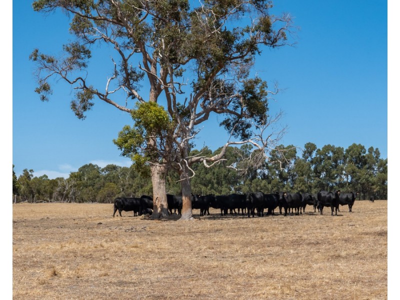 Lot 3001 Hopkins Road, Chapman Hill WA 6280