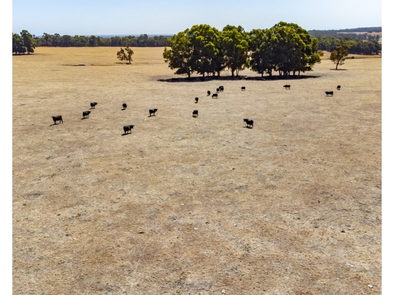 Lot 3001 Hopkins Road, Chapman Hill WA 6280