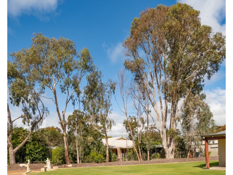 8 WHISTLER Cove, West Busselton WA 6280