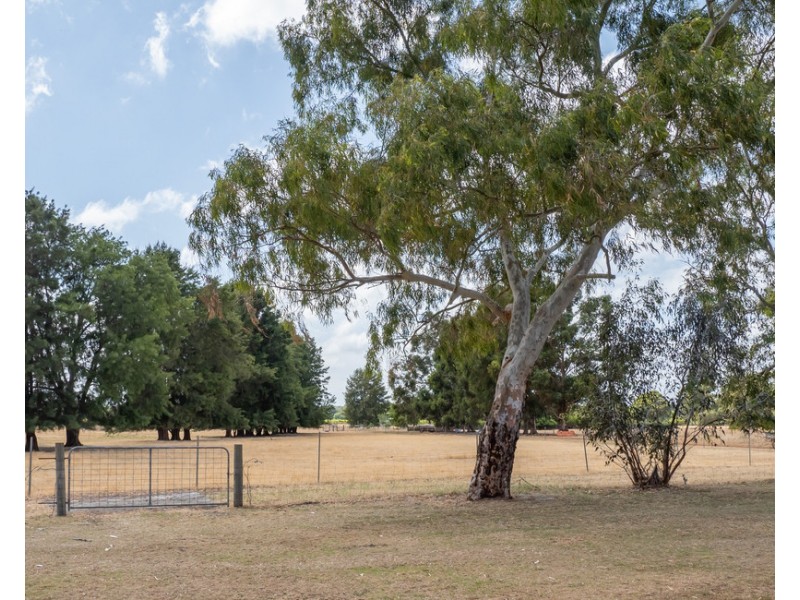 311 Yoongarillup Road, Sabina River WA 6280