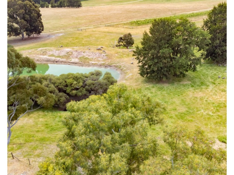 311 Yoongarillup Road, Sabina River WA 6280