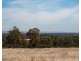 1 Hopkins Road, Chapman Hill WA 6280