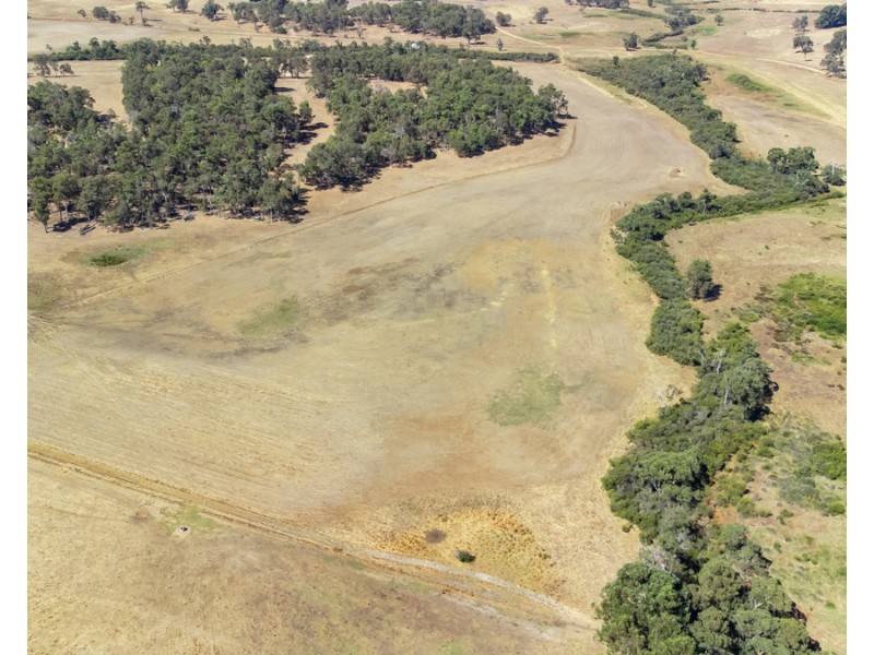 1 Hopkins Road, Chapman Hill WA 6280