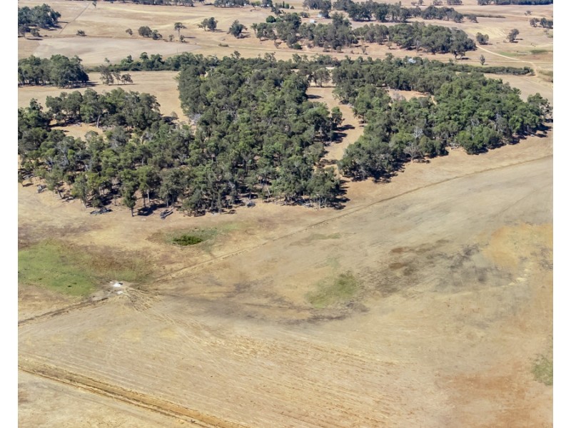 1 Hopkins Road, Chapman Hill WA 6280