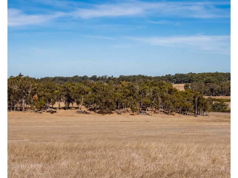 1 Hopkins Road, Chapman Hill WA 6280