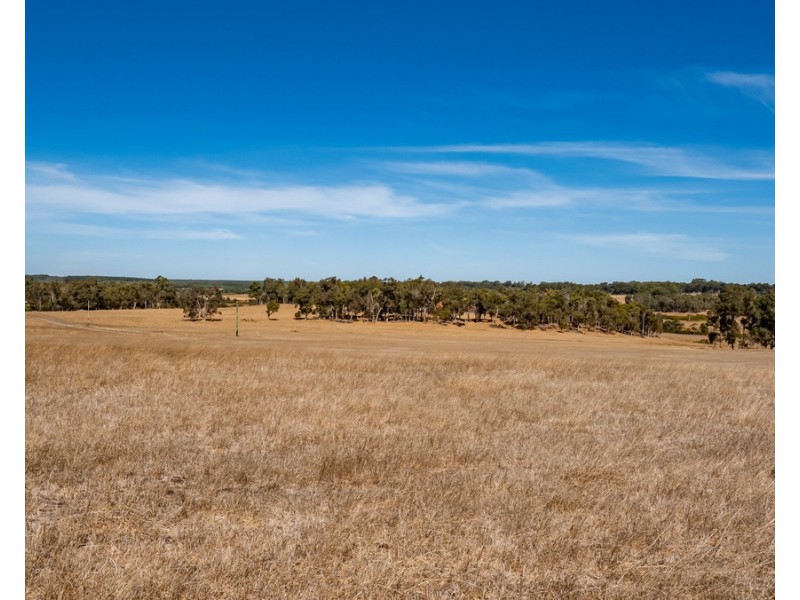 1 Hopkins Road, Chapman Hill WA 6280