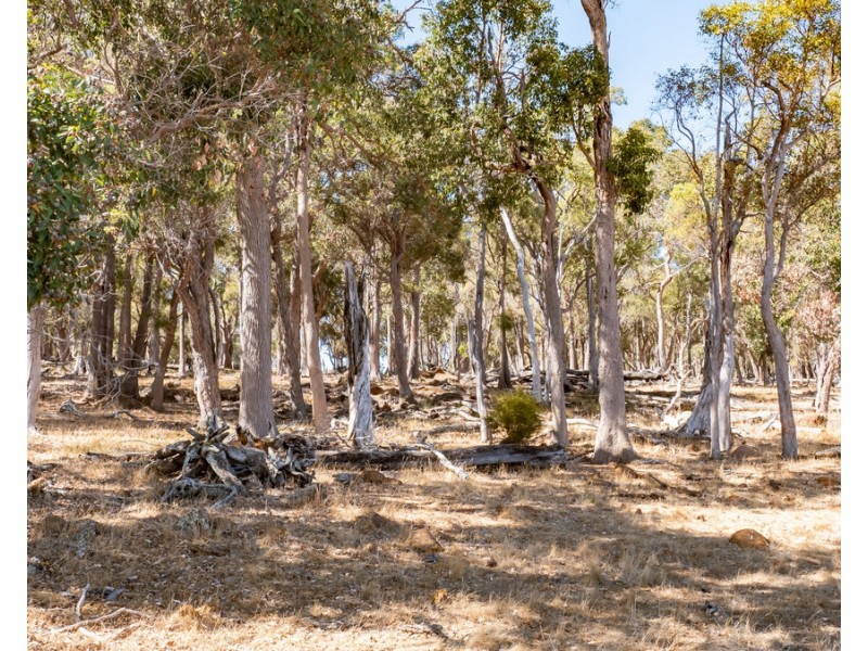 1 Hopkins Road, Chapman Hill WA 6280