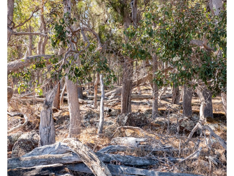 1 Hopkins Road, Chapman Hill WA 6280