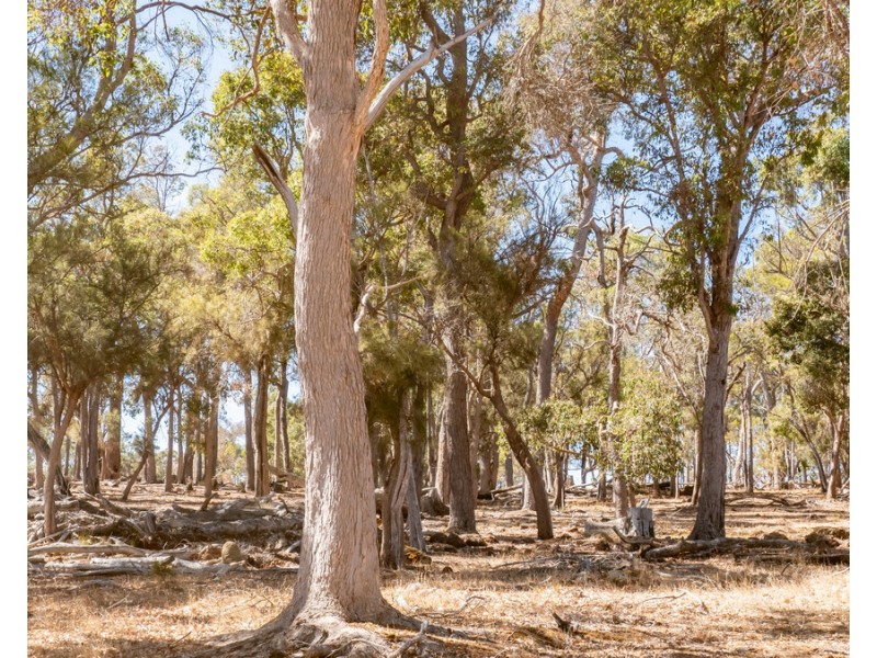 1 Hopkins Road, Chapman Hill WA 6280