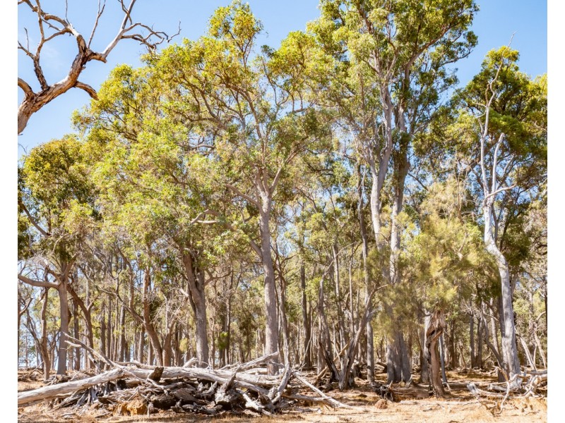 1 Hopkins Road, Chapman Hill WA 6280