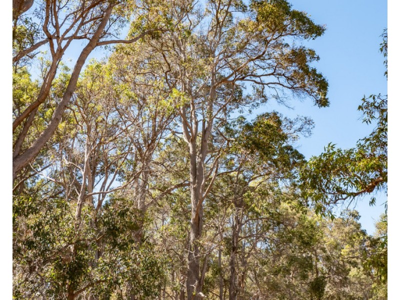 1 Hopkins Road, Chapman Hill WA 6280