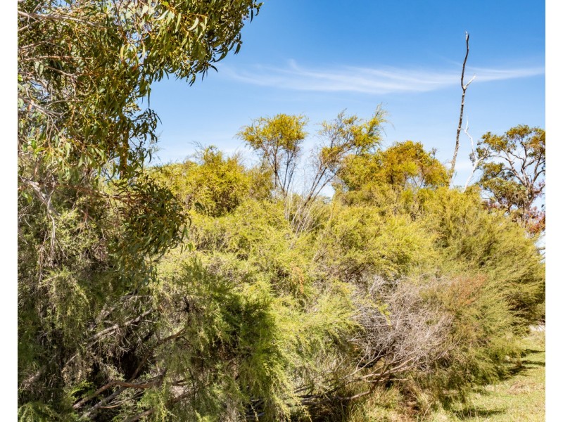 1 Hopkins Road, Chapman Hill WA 6280