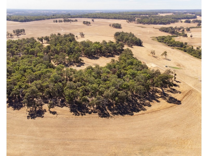 1 Hopkins Road, Chapman Hill WA 6280