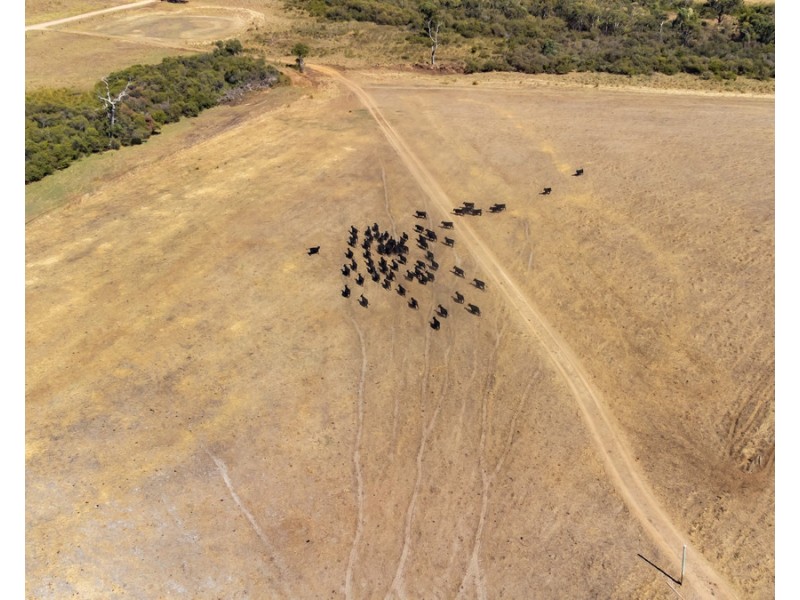 1 Hopkins Road, Chapman Hill WA 6280