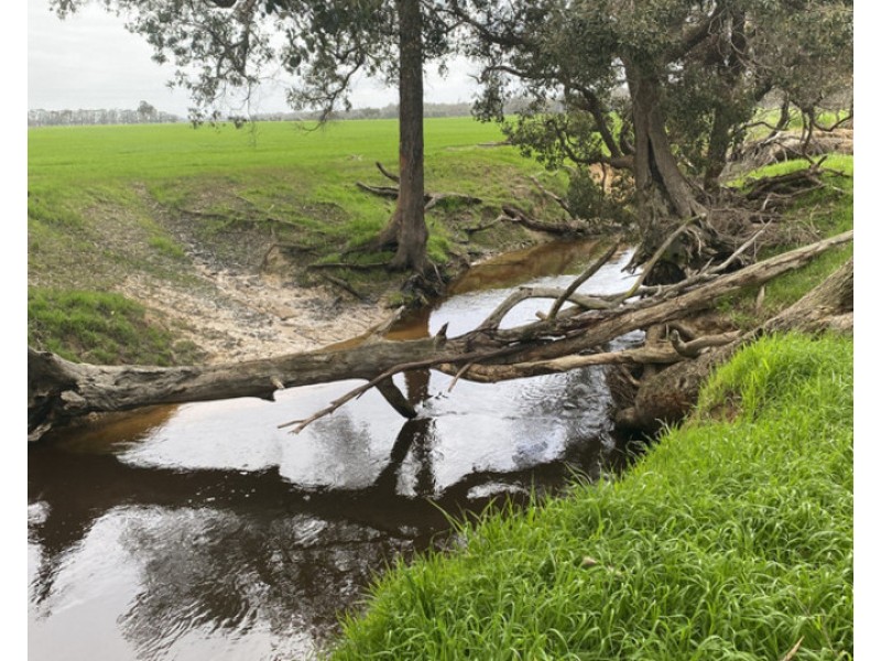 712 Wonnerup South Road, Yoongarillup WA 6280