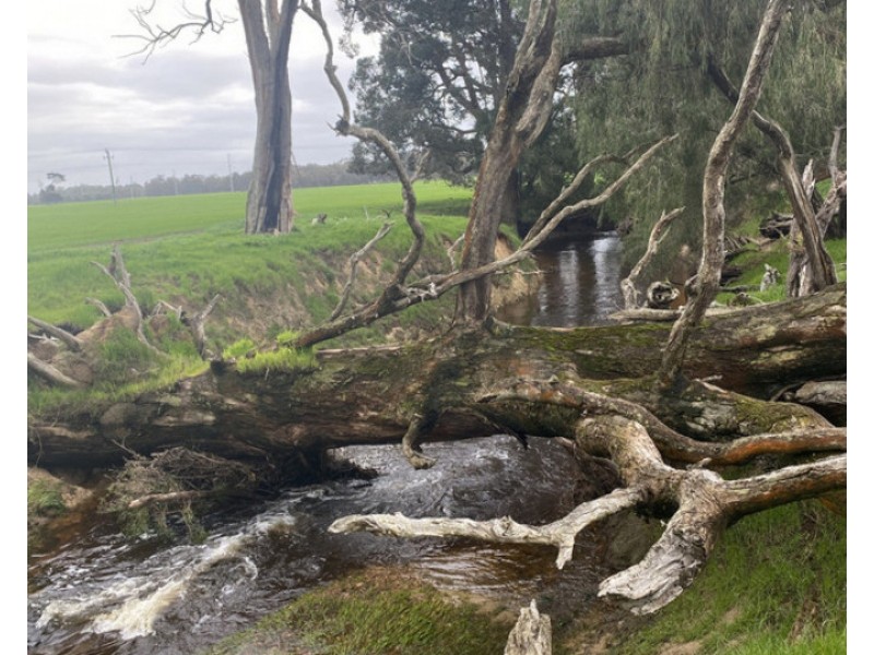 712 Wonnerup South Road, Yoongarillup WA 6280