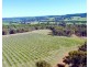 586 Wandering-Pingelly Road, Wandering WA 6308