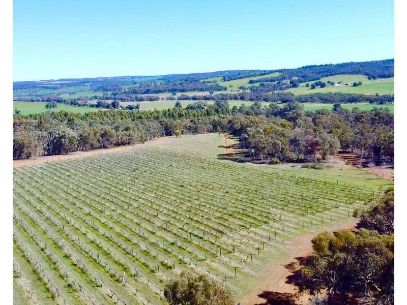 586 Wandering-Pingelly Road, Wandering WA 6308