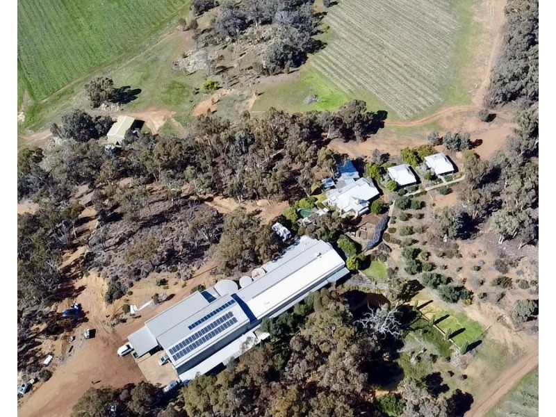 586 Wandering-Pingelly Road, Wandering WA 6308
