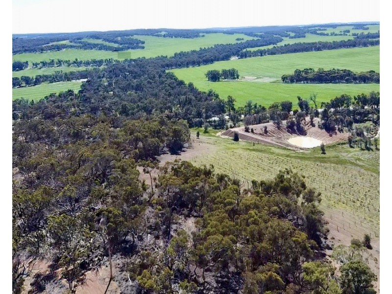 586 Wandering-Pingelly Road, Wandering WA 6308