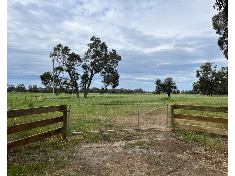 Proposed Lot 241 Downs Road, Ludlow WA 6280