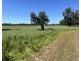 Proposed Lot 241 Downs Road, Ludlow WA 6280