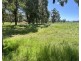 Proposed Lot 241 Downs Road, Ludlow WA 6280