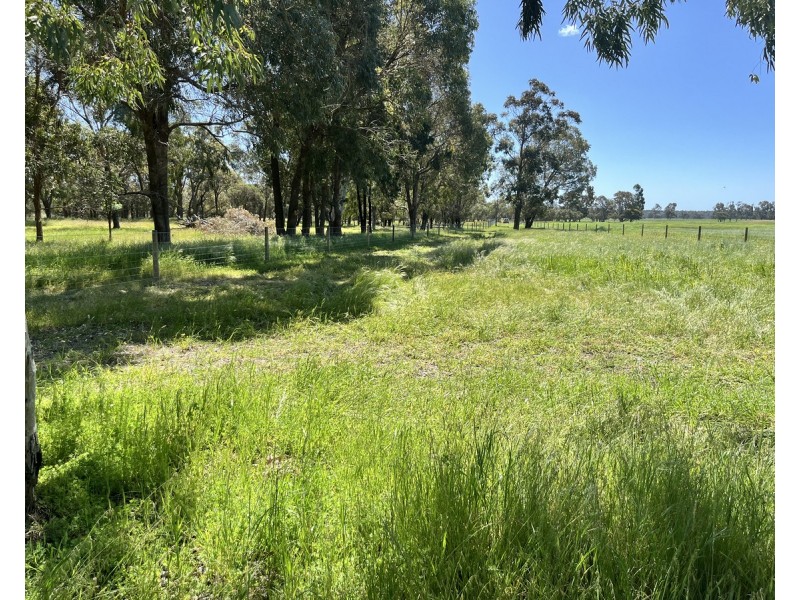 Proposed Lot 241 Downs Road, Ludlow WA 6280