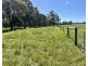 Proposed Lot 241 Downs Road, Ludlow WA 6280