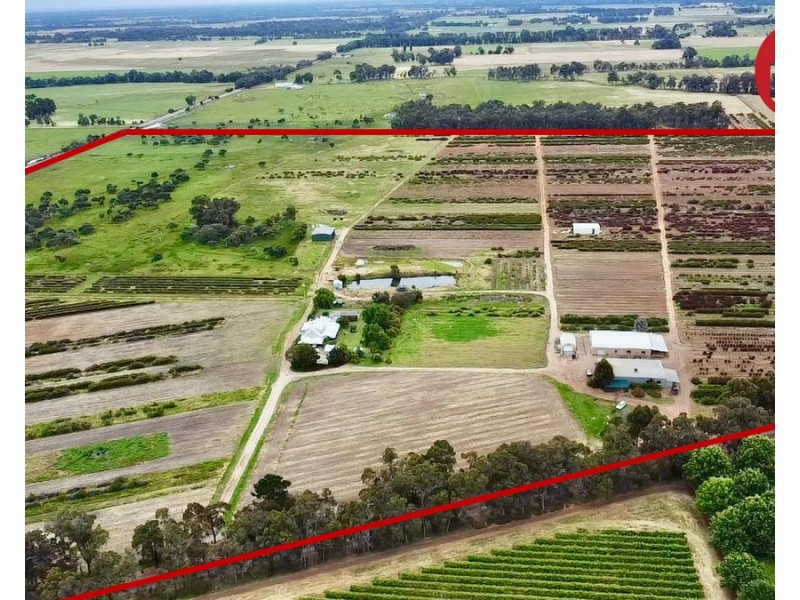 915 Kaloorup Road, Kaloorup WA 6280