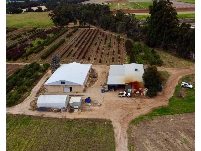 915 Kaloorup Road, Kaloorup WA 6280