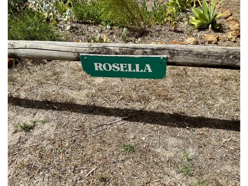 288 YELVERTON NORTH Road, Yelverton WA 6280