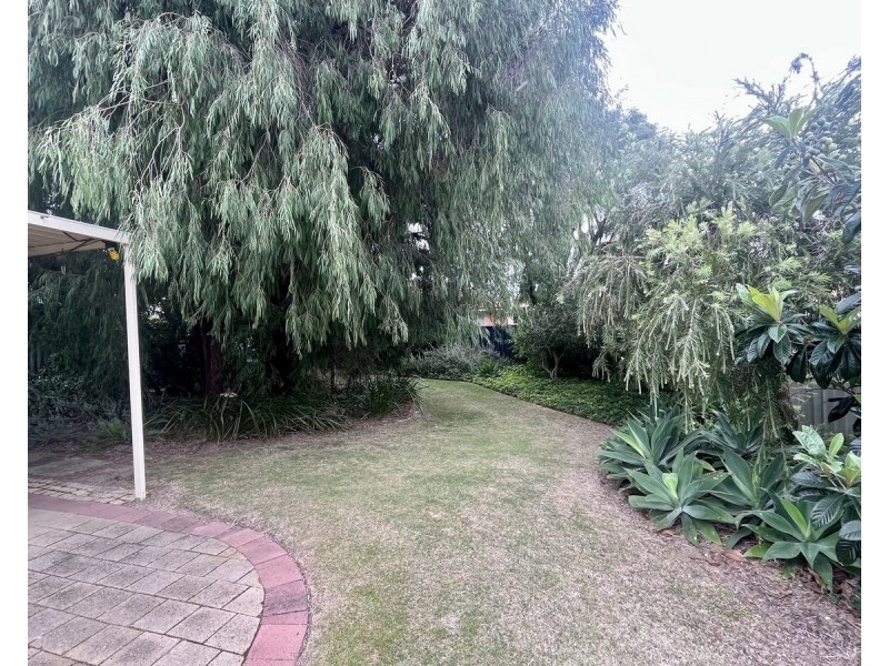 19 Orchid Court, Geographe WA 6280